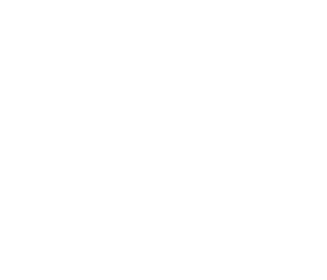 Pferdezahnart Pferdezahnärztin Perdezahnaerztin Mobile Praxis Tierarzt Pferdetierarzt Maulhöhlenendoskopie Mobiles Röntgen Pferdezahntierärztin Pferdezahntierarzt